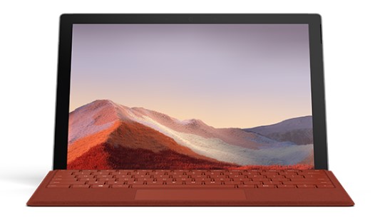 巫山清洁和维护 Surface
